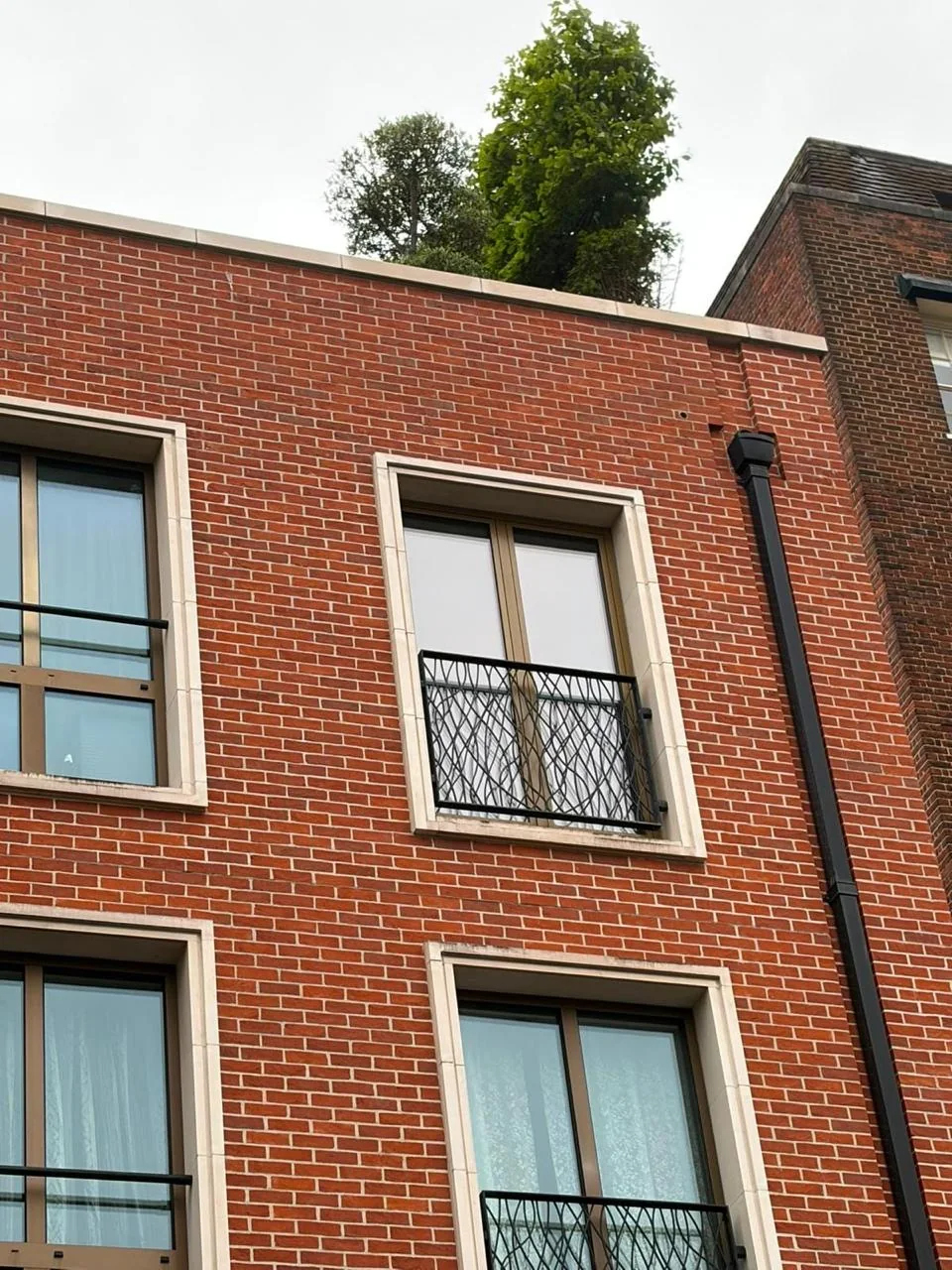 Dark framed casement windows on a modern brick building